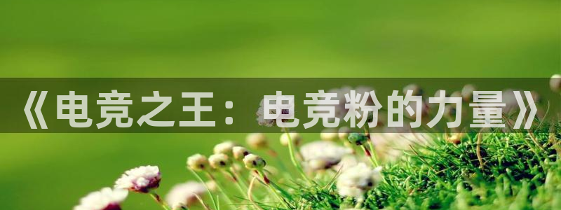 乐竞电竞延期结算