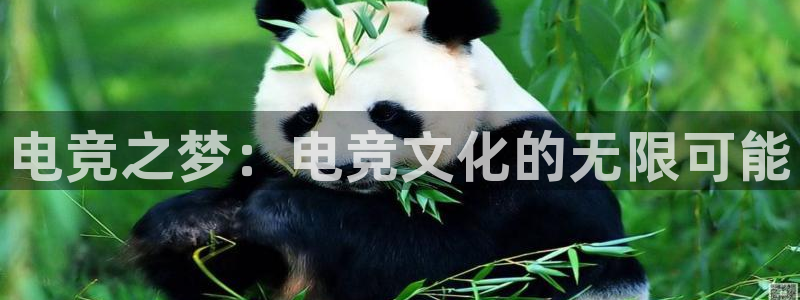 乐竞电竞app平台下载：电竞之梦：电竞文