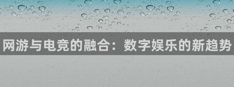 乐竞电竞官方下载：网游与电竞的融合：数字