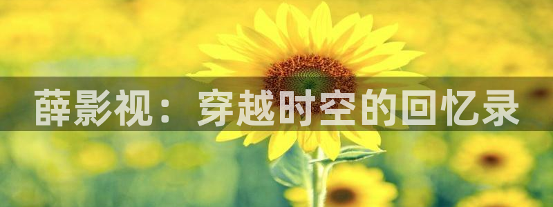 韩国电影顶楼的大象观看：薛影视：穿越时空的回忆录
