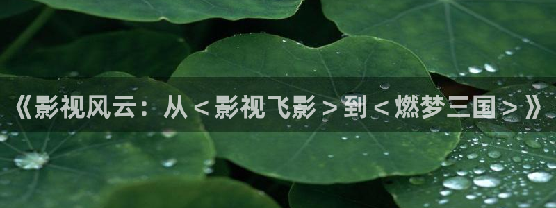 顶楼的大象 韩国电影