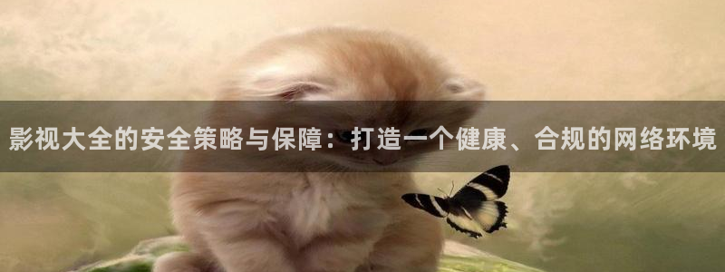 韩国大象电影：影视大全的安全策略与保障：打造一个健康、合规的网络环境