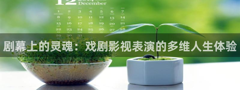 大象影院：剧幕上的灵魂：戏剧影视表演的多维人生体验