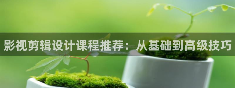 大象影院