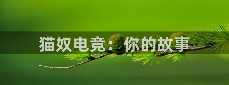 乐竞电竞可以yb33丶me：猫奴电竞：你的故事