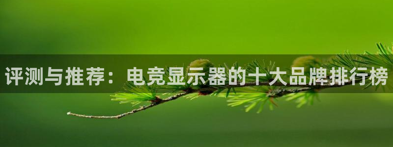 乐竞电竞app最新版：评测与推荐：电竞显