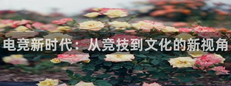 乐竞电竞玩家：电竞新时代：从竞技到文化的