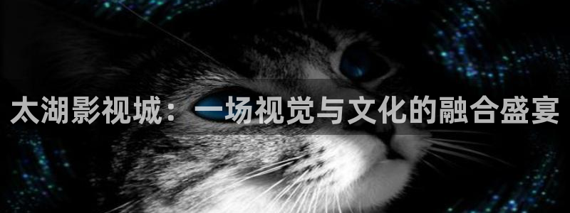 午夜大象影院