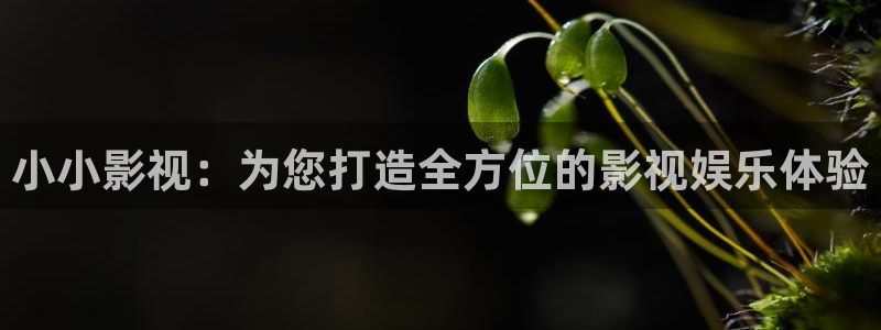 大象影视