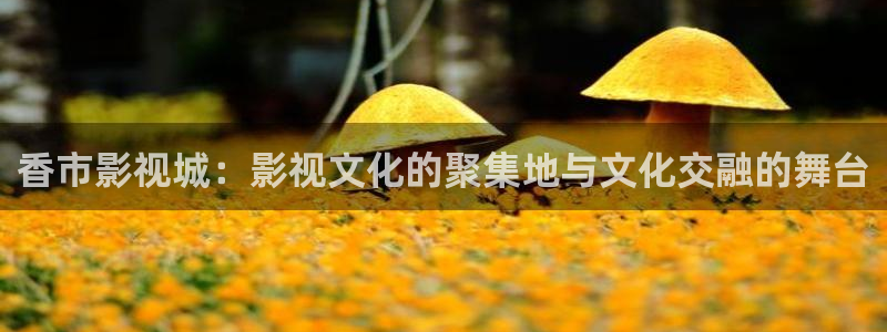 韩国电影顶楼的大象观看