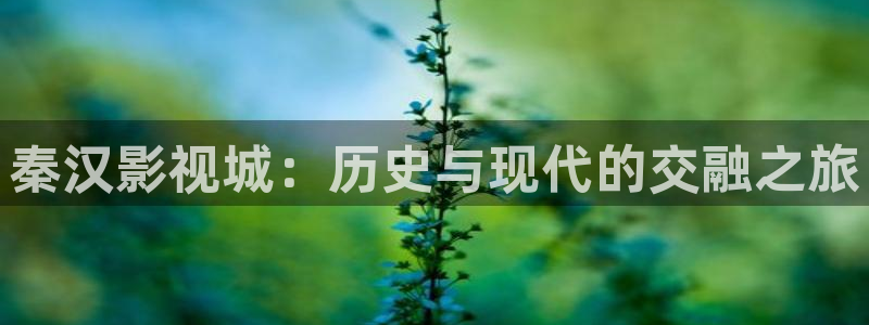 顶楼的大象韩国电影完整版：秦汉影视城：历史与现代的交融之旅