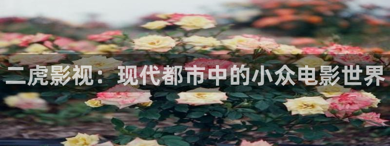 大象视频在线播放免费观看电视剧：二虎影视：现代都市中的小众电影世界