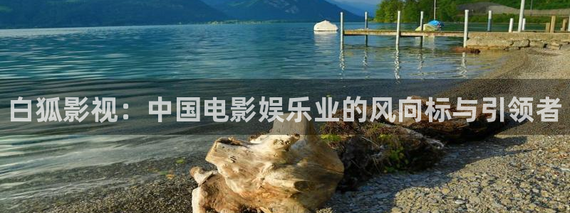 大象天天影院：白狐影视：中国电影娱乐业的风向标与引领者