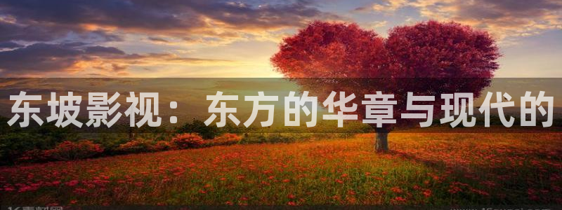 韩国电影顶楼的大象观看：东坡影视：东方的华章与现代的