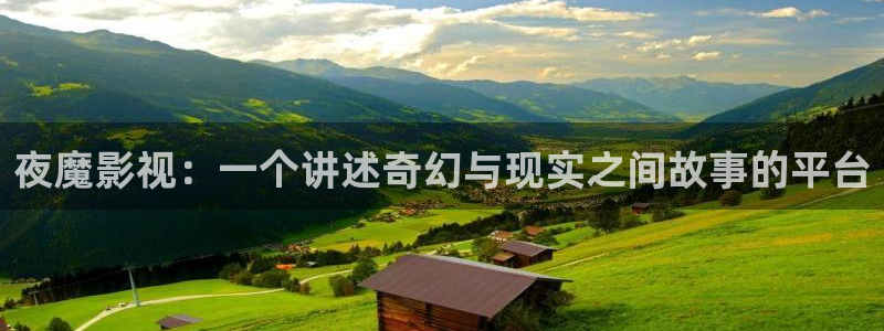 韩国电影顶楼的大象未删减版